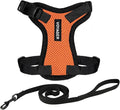 Voyager Escape-Proof Step-in Lock Cat Harness & 5ft Neoprene-Handle Leash Set by BestPetSuppliesLLC