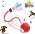 Interactive Cat Toys Ball for Indoor Cats, Automatic Cat Toy by Petayouj