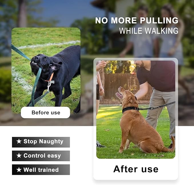 Black Dog Chain Collar Stainless Steel Black Dog Collar Adjustable Walking - Image 3