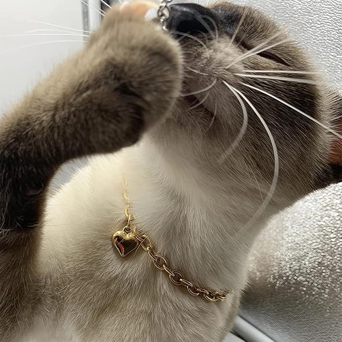 HOWWFALY Dog Collar and Cat Chain Necklace Stainless Steel Adjustable 18K Gold - Image 7