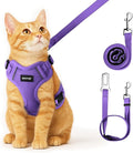 Cat Harness, Cat Harness and Leash by Unknown
