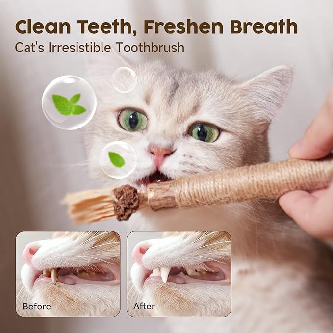 Potaroma 6 Pcs Natural Silvervine Sticks Cat Toys, Catmint Silvervine Blend - Image 4