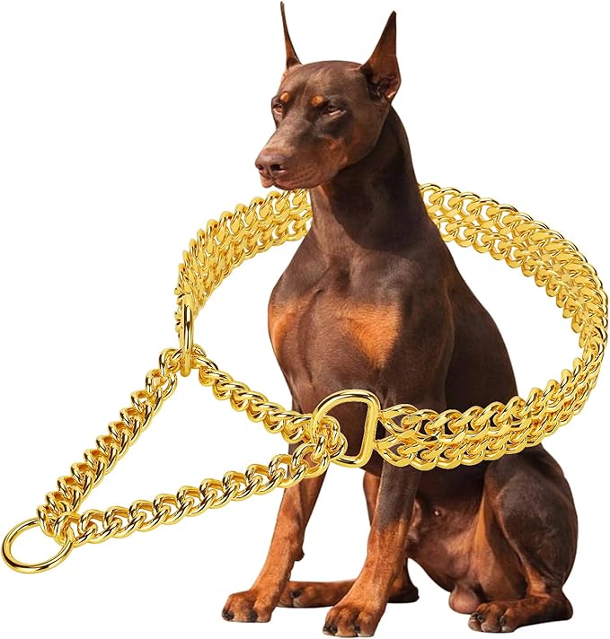 Gold Dog Collar Chain Stainless Steel 19K Gold Dog Collar Adjustable Walking by KINGOLDOS