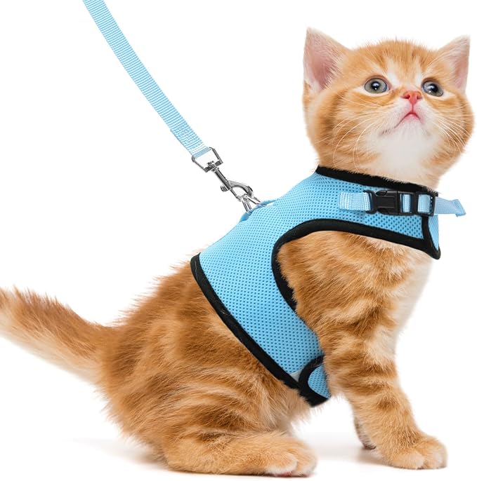 PUPTECK Soft Mesh Cat Vest Harness and Leash Set Puppy Padded Pet Harnesses by PUPTECK