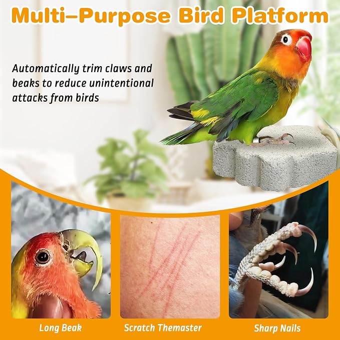 PINVNBY 8 PCS Bird Perches Calcium Parrot Perch Stand Bird Beak Grinding Stone - Image 5