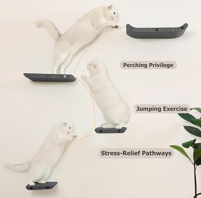 Wall Mounted Cat Shelves and Perches, Scratcher Cat Beds & Furniture - Image 5