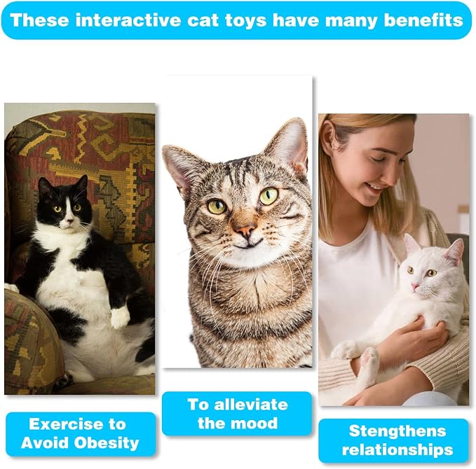 Retractable Cat Toy Wand, 12 Packs Interactive Cat Feather Toys, 9 Assorted - Image 7