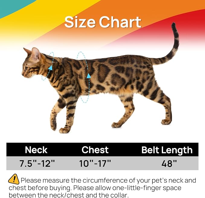 Cat Harness and Leash Set - Image 6