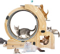 Cat Running Wheel, Cat Treadmill by Unknown