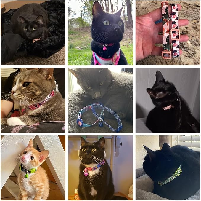 Breakaway Cat Collars for Girl Boy Cats, Fall Winter All Weather Cat Collar - Image 9