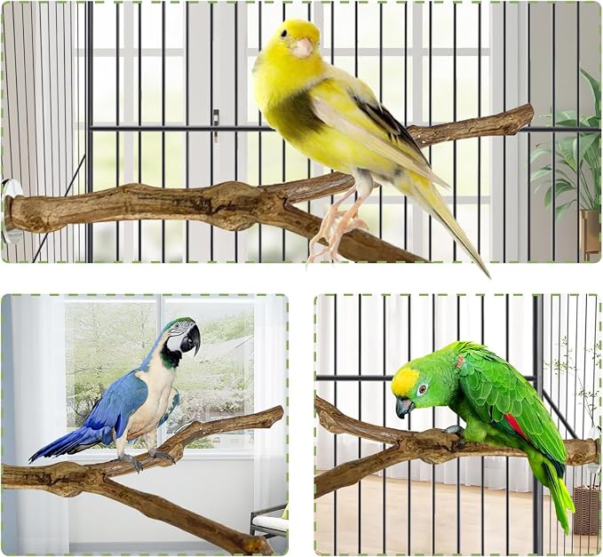 kathson Natural Parrot Perch Bird Stand Pole Wild Grape Stick Paw Grinding Fork - Image 6