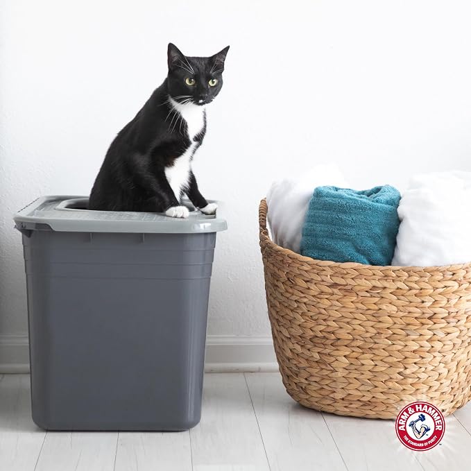 Arm & Hammer Premium Top Entry Litter Box - Image 4