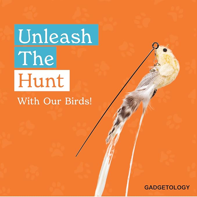 Interactive Bird Simulation Cat Toy Set - Image 6