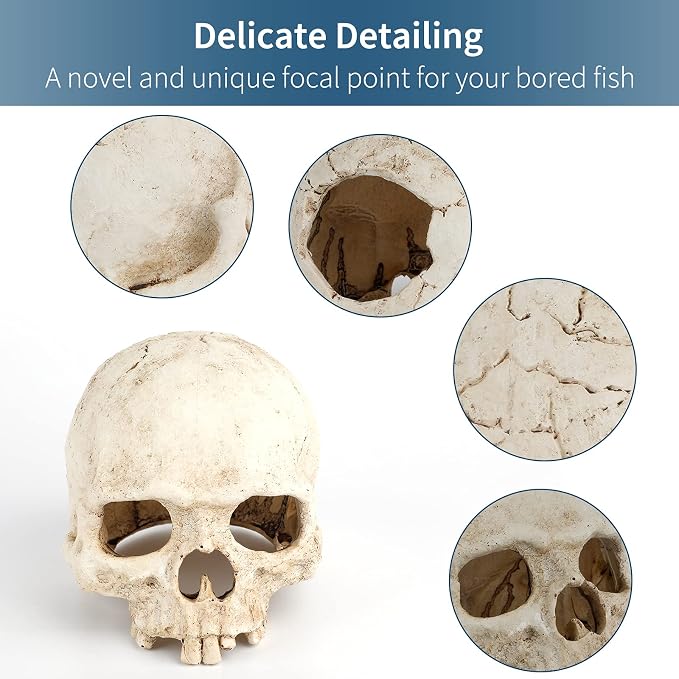 Uniclife Aquarium Skull Reptile House Decor Resin Head Skeleton Ornament - Image 3