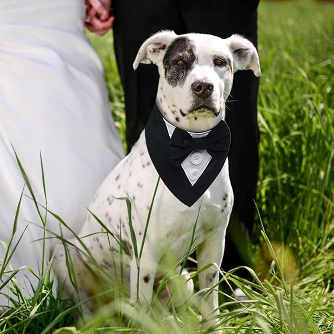 FUAMEY Dog Tuxedo for Large Dogs, Dog Formal Suit Dogs Attire Pet Bow Tie Puppy - Image 2