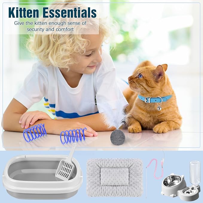 Eccliy Kitten Starter Kit, Pet Toy, Folding Carrier, Climbing Frame, Automatic - Image 4