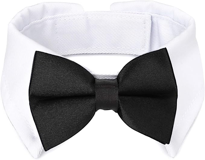 Segarty Dog Tuxedo Collar for Neck Girth 12.6-15.7in, Bow Tie Collar Black by Segarty