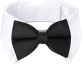 Segarty Dog Tuxedo Collar for Neck Girth 12.6-15.7in, Bow Tie Collar Black by Segarty