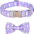 MR. CHUBBYFACE Easter Dog Collar Rabbit Puppy Collar by MrChubbyfacePetSupplies