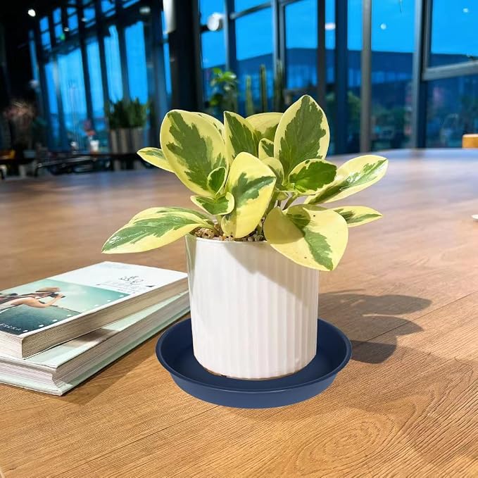 6 Pack of 8 inch Plant Saucer Blue, Plastic Plant Water Tray 8 inch Round - Image 3
