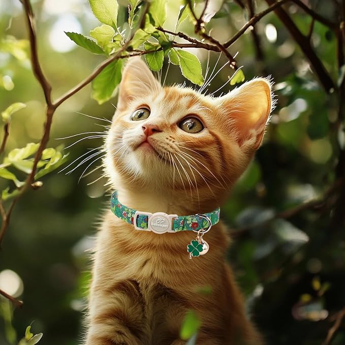 2 Pack St. Patrick’s Day Cat Collars - Image 6