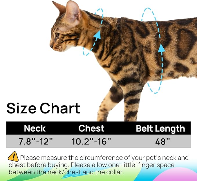 Cat Harness and Leash Set - Image 6