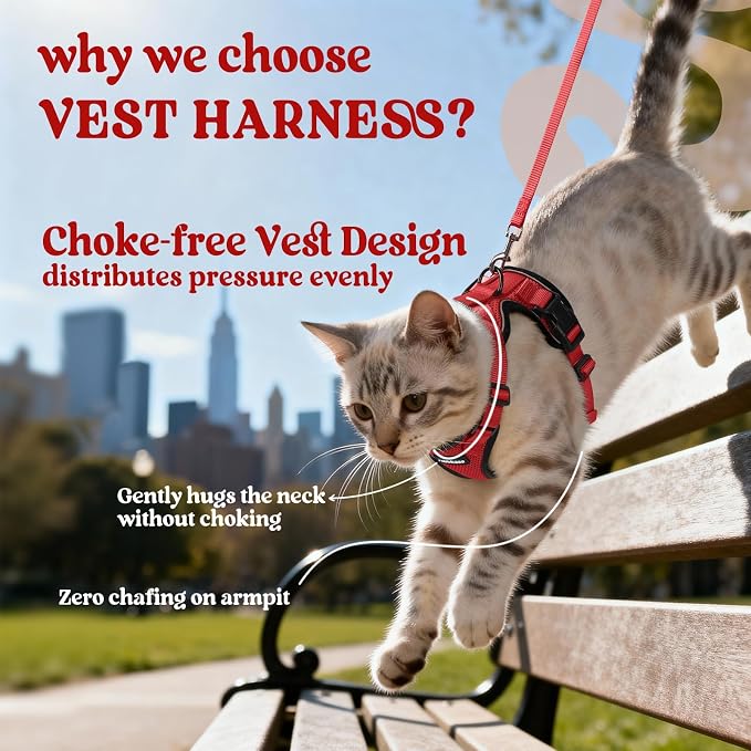 rabbitgoo Cat Harness and Leash - Image 3