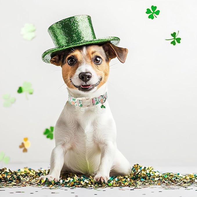 St Patricks Day Dog Collar for Medium Dogs - Image 3