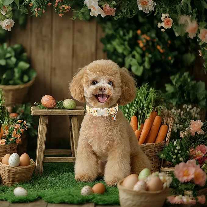 Easter Dog Collar for Small Dogs