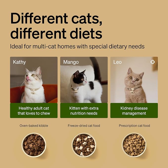 PETLIBRO RFID Cat Feeders for 3 Cats, Collar Tag for Personalized Meals - Image 5