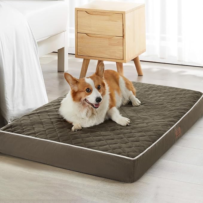 WNPETHOME Orthopedic Giant Dog Beds Large Sized Dog, Waterproof Extra Large by WNPETHOMEPETSHOME