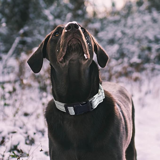 Hikiko Reflective Martingale Collar - Image 2