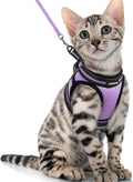 rabbitgoo Cat Harness and Leash Set by rabbitgoo
