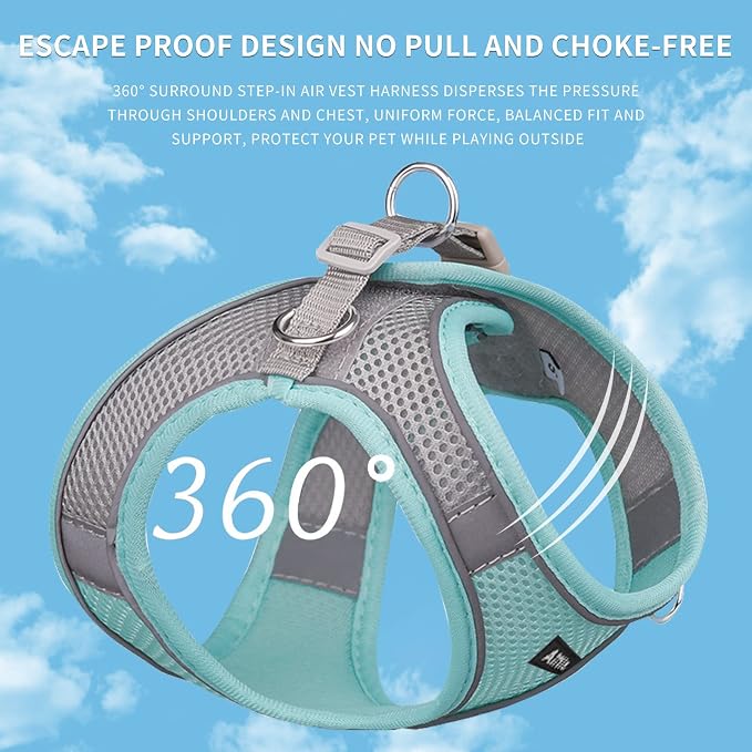 AIITLE Step in Dog Harness and Leash Set - Image 5