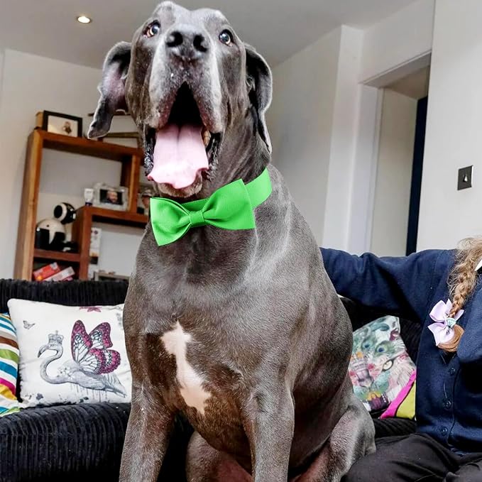Segarty Bow Tie for Dogs Neck Girth 16.5-21.3in, Adjustable Green Bowtie Collar - Image 6