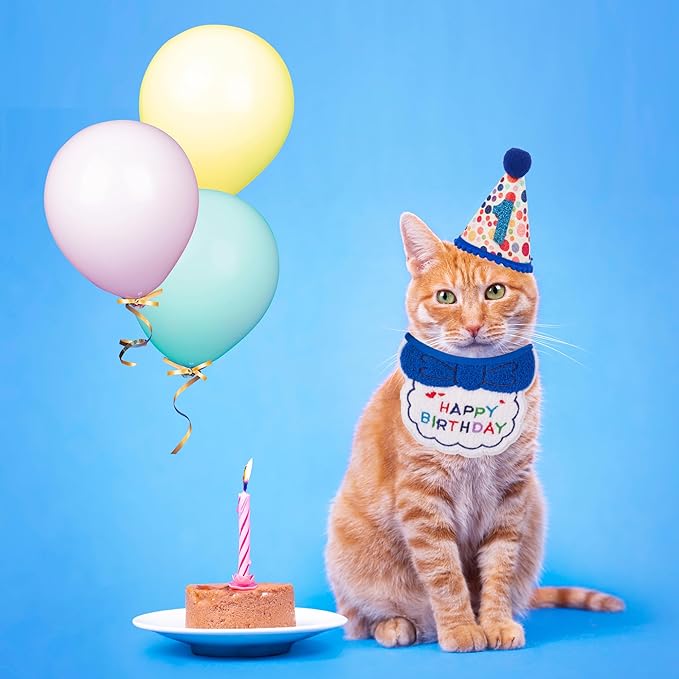 ADOGGYGO Cat Birthday Party Supplies - Image 2
