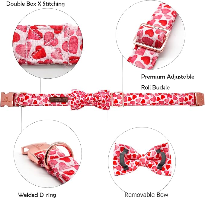 Lionheart glory Dog Collar - Image 2