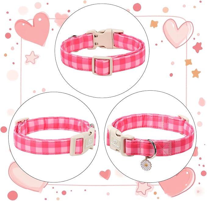 Girl Dog Collar for Small Dogs - Image 6