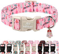Christmas Dog Collar for Puppy Small Dogs by Babolepet
