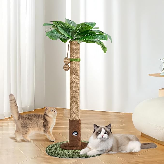 Cat Scratching Post for Indoor Cats and Kitten - Image 8