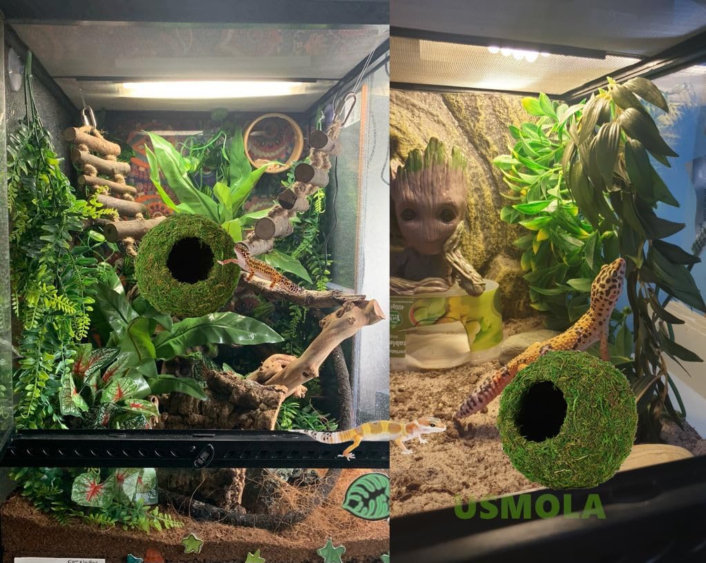 USMOLA 4" Woodland Green Mossy Reptile Caves - GlobalHabitat Supply