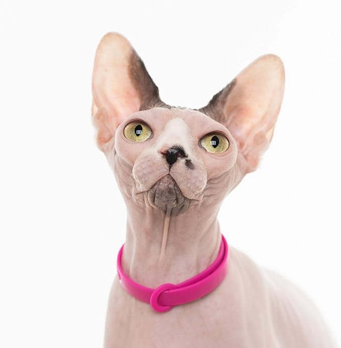 Breakaway Cat Collar - Image 6
