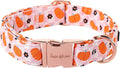 Unique style paws Dog Collar Metal Buckle Collar by Uniquestylepaws