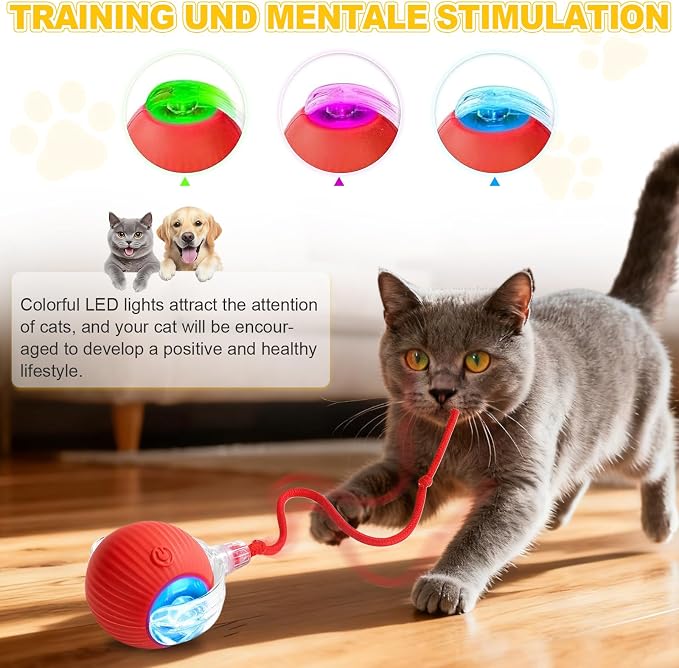 2-Pack Interactive Cat Toys Ball - Image 3