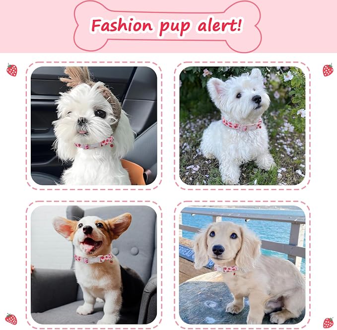 Pink Dog Collar for Small Dogs, Cute Dog Collars Girl Puppy Collar - Image 3