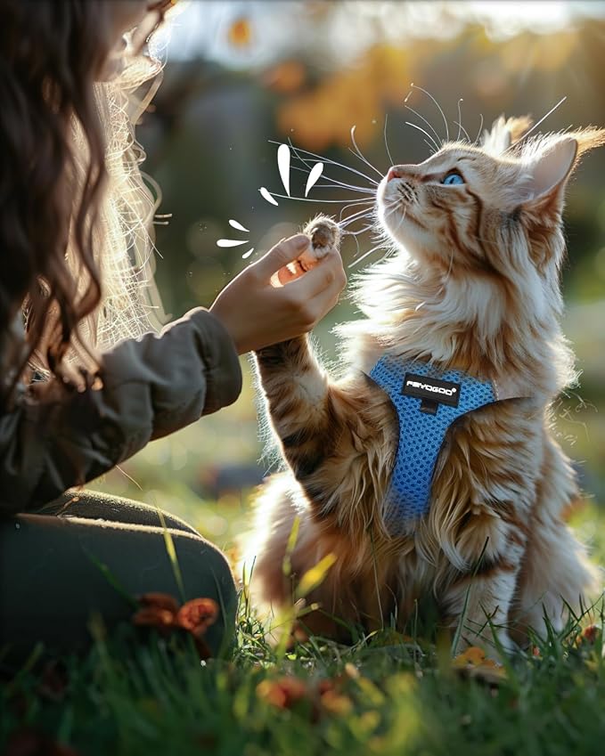 FAYOGOO Cat Harness and Leash Set | Upgrade Step-in Escape Proof Harness | - Image 7