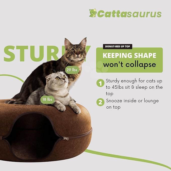 Cattasaurus Peekaboo Cat Cave Donut - Image 2