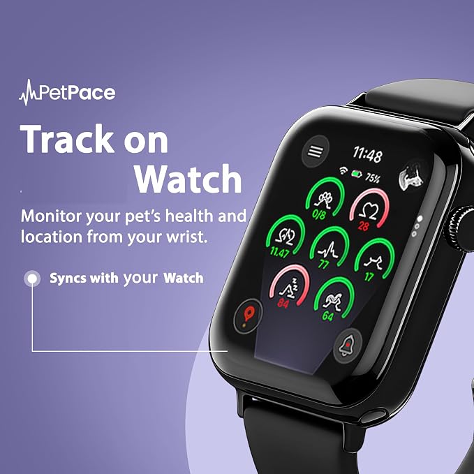 V3.0 Dog Health Monitor – AI Health Collar - Image 4