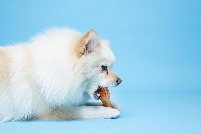 Hartz Chew ‘n Clean Chew Toy and Treat in One Chicken Flavored Drumstick Dog Toy - Image 4