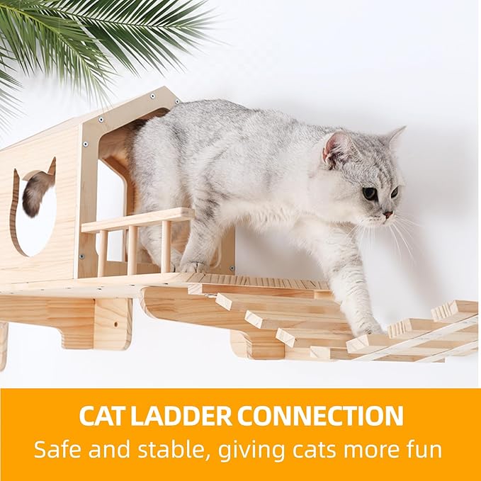 Cat Shelves for Wall – Cat Climbing Furniture Set for Large Cats - Image 5
